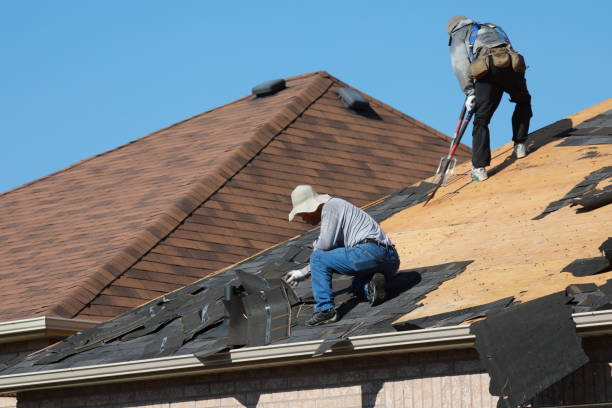 Best Gutter Installation and Repair  in Homestead Valley, CA