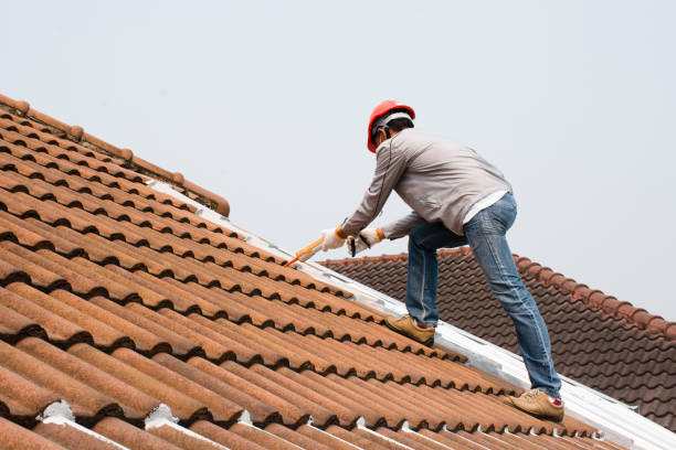 Best Roof Ventilation Installation  in Homestead Valley, CA